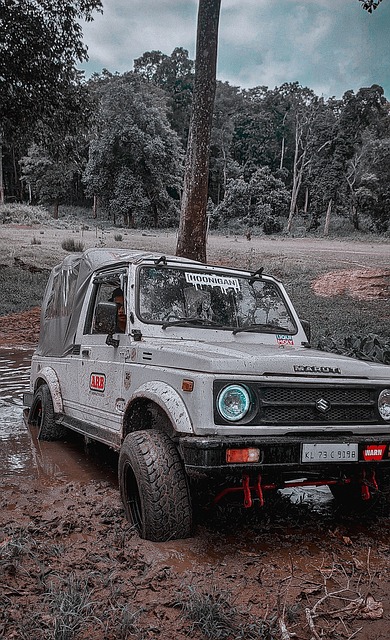 记者：今年租借效力大阪樱花的拉斐尔正与一家中国俱乐部谈判